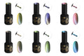 Cat Eye Gel Polish Collection - Liquid Pigment 60ml